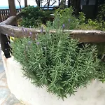 Appartement Aegean Sunset *