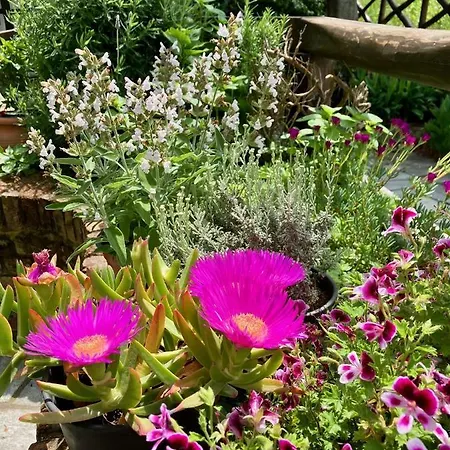 Aegean Sunset Διαμέρισμα *