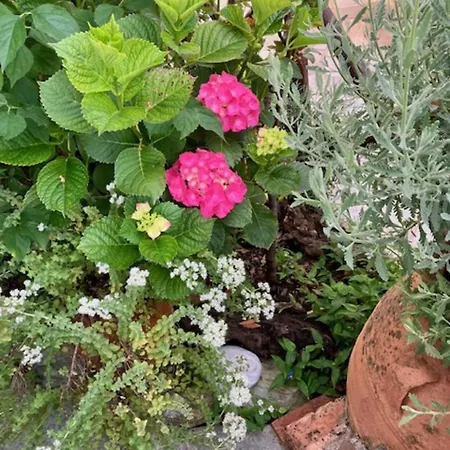 Aegean Sunset Διαμέρισμα Νταμούχαρη