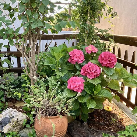 Aegean Sunset Νταμούχαρη