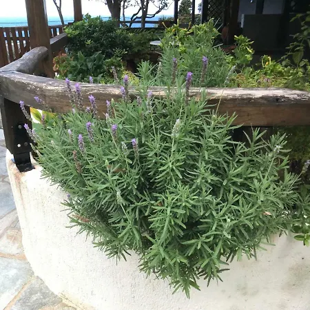 Διαμέρισμα Aegean Sunset *