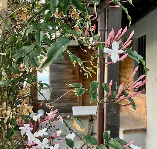 Apartamento Aegean Sunset *