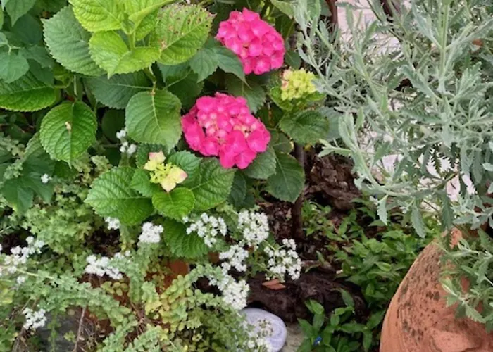 Aegean Sunset Apartamento Damouchari